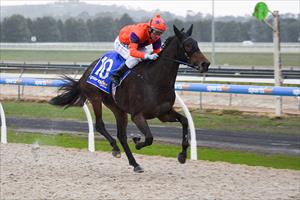 TALENTED FILLY BOUNCES BACK WITH OLLIE
